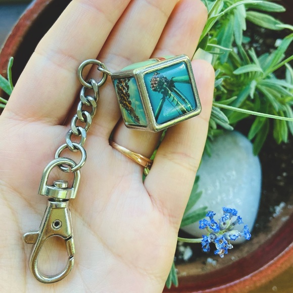 Other - Cedar Point Keychain